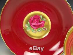 Beautiful Paragon Huge Cabbage Roses Red Tea Cup And Saucer Teacup