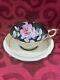 Black Paragon Floating Pink Cabbage Rose A638 Peach Cup Saucer Double Warrant Hp
