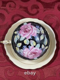 Black Paragon Floating Pink Cabbage Rose A638 Peach Cup Saucer Double Warrant HP