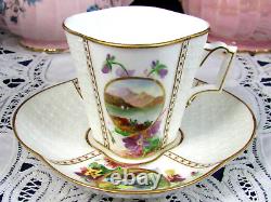 Brownfield Antique Painted Scenic Violets Embossed Tea Cup And Saucer