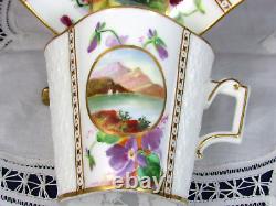 Brownfield Antique Painted Scenic Violets Embossed Tea Cup And Saucer