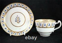 C1796 Antique Worcester Barr & Flight & Barr Tea Cup & Saucer Pinched Handle