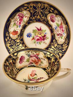 C436a Antique Coalport Tea Cup & Saucer