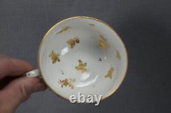 Capodimonte Style Late 19th Century European Hand Painted Tea Cup & Saucer