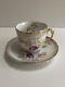 Dresden Porcelain Tea Cup And Saucer Unique Floral Designs With Gold Trims