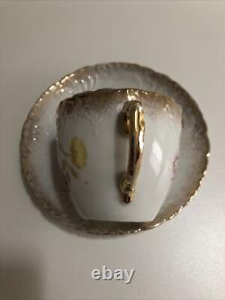 Dresden Porcelain Tea Cup and Saucer Unique Floral Designs With Gold Trims