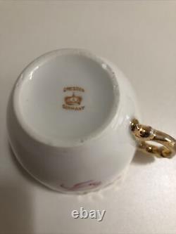 Dresden Porcelain Tea Cup and Saucer Unique Floral Designs With Gold Trims
