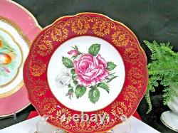 FOLEY tea cup & Saucer floating pink rose teacup gold gilt RED band England