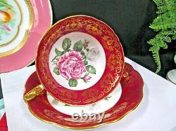 FOLEY tea cup & Saucer floating pink rose teacup gold gilt RED band England