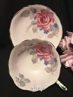 Floating Cabbage Rose Pink Paragon Tea Cup&Saucer Double Warrant Of Queen