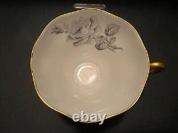 Foley EB 1850 Pale Blue Black Rose Fine Bone Chine From England