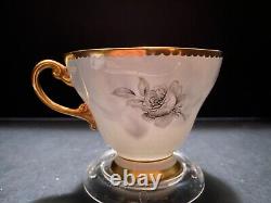 Foley EB 1850 Pale Blue Black Rose Fine Bone Chine From England
