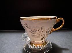 Foley EB 1850 Pale Blue Black Rose Fine Bone Chine From England