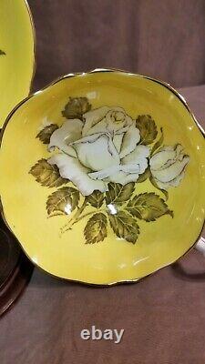 Gorgeous Scarce Paragon Yellow Floating Rose Teacup & Saucer. England