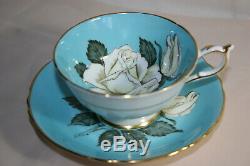 Gorgeous Vint Paragon bone china cup saucer set Sky Blue withWhite Cabbage Rose