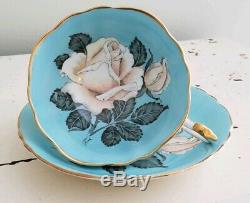 Gorgeous White Rose Paragon Teacup and Saucer