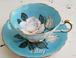 Gorgeous White Rose Paragon Teacup and Saucer