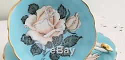 Gorgeous White Rose Paragon Teacup and Saucer