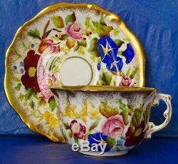 Hammersley & Co QUEEN ANNE Hand Painted Flowers Bone China Cup & Saucer