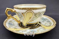 Haviland Limoges Tea Cup & Saucer, Unique Style, Ornate Cabinet Set