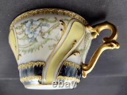 Haviland Limoges Tea Cup & Saucer, Unique Style, Ornate Cabinet Set