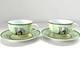 Hermes Africa Tea Cup Saucer Green Tableware 2 Set Coffee Cafe Ornament Auth New