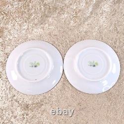 Hermes Paris Tea Cup & Saucer Nil Nile Porcelain Tableware 2 Sets