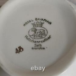 Hutschenreuther Bird of Paradise Tea Cup & Saucer ANTIQUE Circa 1920