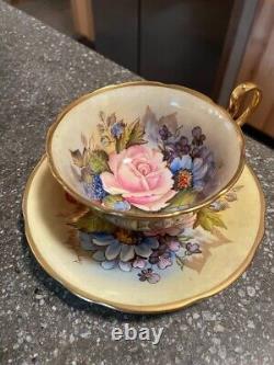 J A Bailey Signed Rose Tea Cup & Saucer Gold and Cream Ansley England Cabbage