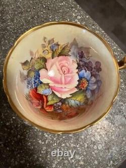 J A Bailey Signed Rose Tea Cup & Saucer Gold and Cream Ansley England Cabbage