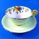Light Green With Morning Glory Design Flower Handle Aynsley Tea Cup & Saucer