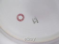 Limoges France tea cup & saucer 27 pieces dinnerware teacup floral rose pattern