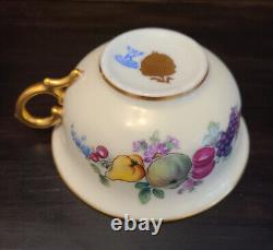 Lovely WK Wilhelm Koch Dresden Germany Blue Gold Fruit & Flower Tea Cup & Saucer