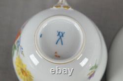 Meissen Hand Painted Flowers & Gold Entwined Handle Tea Cup & Saucer C