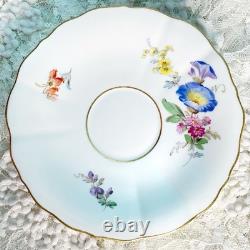 Meissen Vintage Tea Cup & Saucer Scatter Floral Design Porcelain