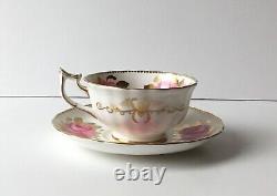 Mint Royal Chelsea England Pink Cabbage Roses Bone China Tea Cup & Saucer Gold
