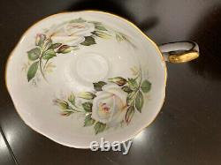 NEW Vintage Set 12 Queen's Fine Bone China Tea Cups Made in England Roses Ebony