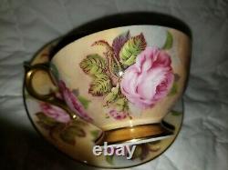 OUTSTANDING Aynsley Cabbage Roses Tea Cup and Saucer Pattern 1026