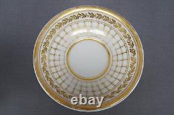 Old Paris Porcelain Gold Net & Leaf Snake Handle Tea Cup & Saucer Circa 1820-40