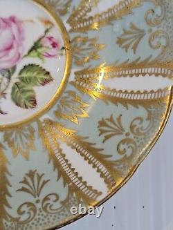 PARAGON Cabbage Rose Radiant Gilding Dusty Teal Tea Cup & Saucer. Free Shipping