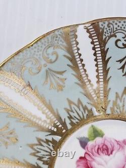 PARAGON Cabbage Rose Radiant Gilding Dusty Teal Tea Cup & Saucer. Free Shipping