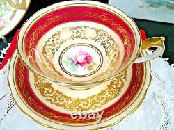 PARAGON tea cup and saucer PINK center rose gold gilt red band teacup DW 1950s