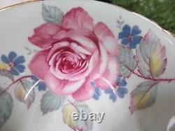 PARAGON tea cup & saucer PINK cabbage rose SAGE GREEN teacup England 1950s set