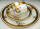 Pickard Bavaria Hand Painted Floral Conventional Trio Tea Cup & Saucer Plate A
