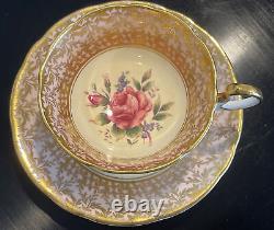 PINK PARAGON Tea Cup Saucer Large Cabbage Rose Pale Yellow Gold Gild