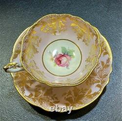 PINK PARAGON tea cup and saucer center cabbage pink rose teacup DW gold gilt