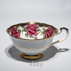 Paragon 14 Pink Red Cabbage Roses Tea Cup & Saucer Gold Trim Queen Hand Painted