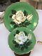 Paragon Bone China White Cabbage Rose On Green Teacup And Saucer