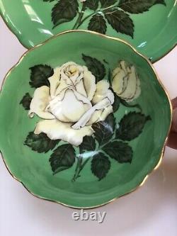 Paragon Bone China White Cabbage Rose On Green Teacup And Saucer