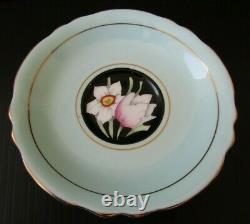 Paragon Daffodils & Tulips on Black Tea Cup and Saucer Set Narcissus. England